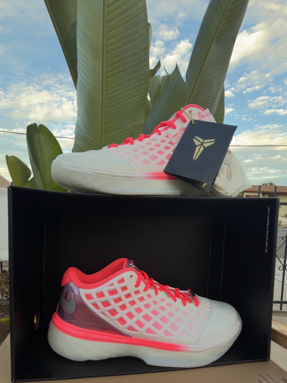 Nike Women's White & Neon Pink Low-Top Athletic Sneakers